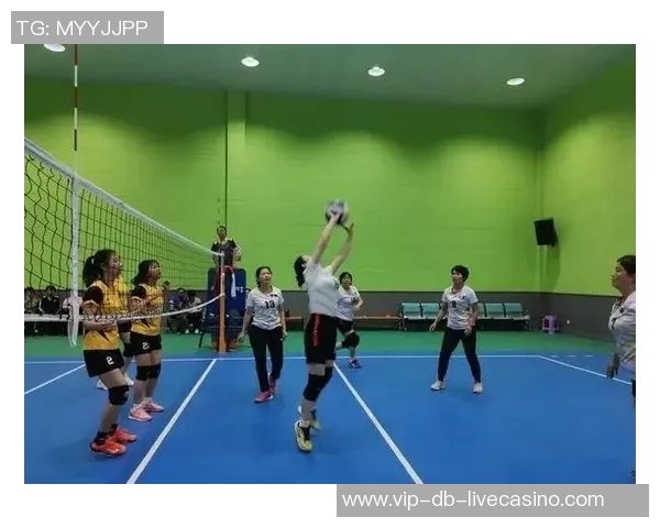 足球球网的选择与维护技巧助你提升球技和比赛体验